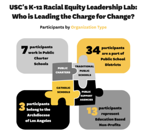 K12 Racial Equity Leadership Lab: Who is Leading the Charge for Change? Organization Type